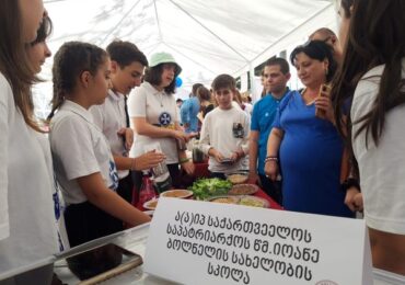 მწვანე კლუბის “ჯანმრთელობის ელჩები” ილიაუნის სამეცნიერო პიკნიკს დაესწრნენ