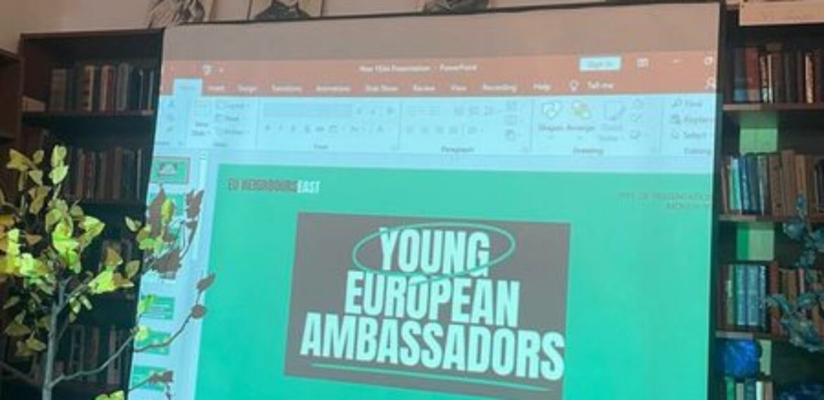 ა(ა)იპ იოანე ბოლნელის სახელობის სკოლის ბოლნისის ახალგაზრდულ სივრცეს ახალგაზრდა ევროპელი ელჩები ეწვივნენ